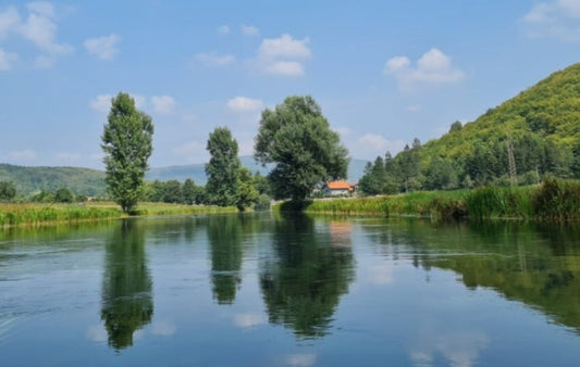 PRIRODA KAO TERAPIJA