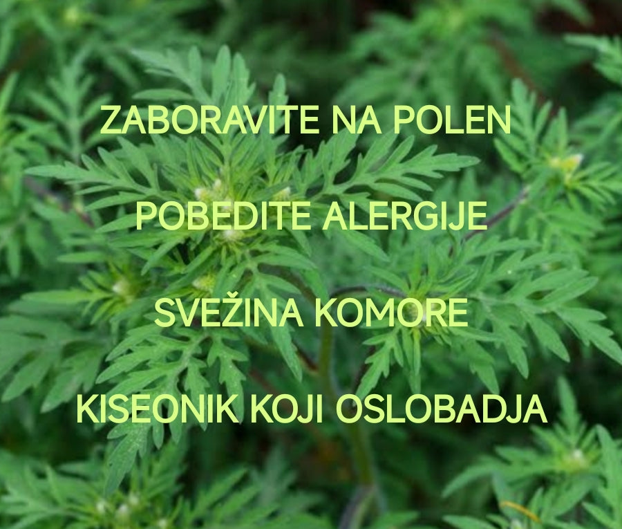 LETO BEZ GUŠENJA