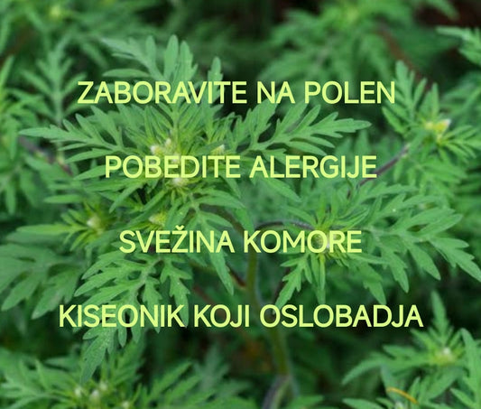LETO BEZ GUŠENJA